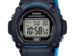 Montre Casio W219H-2A2V